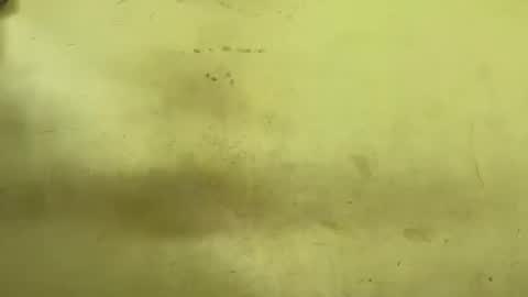 Rupali online show from 03/24/26, 03:50