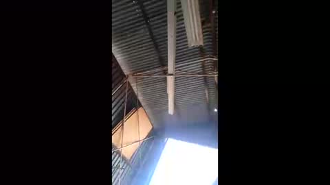 rustynuts95716 online show from 03/10/26, 01:54