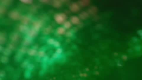 Snapshot of s_sofia_ chatting on 01/25/25, 01:21 s_sofia_ online show from 01/25/25, 01:21