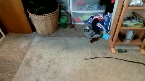 s_t_u_d_420 online show from 04/16/26, 09:39