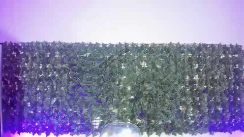 Sabina Merchetti online show from 03/17/26, 12:26