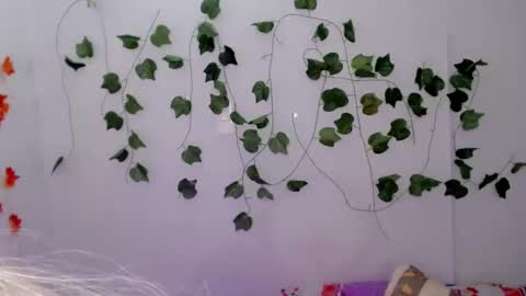 SABRI online show from 01/26/25, 01:25