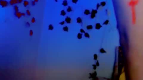 SABRI online show from 03/11/25, 12:39