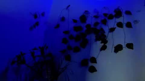 SABRI online show from 04/01/26, 02:23