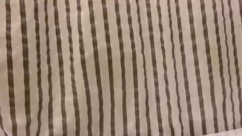 Snapshot of sacalaschichiss chatting on 10/29/25, 01:13 Dee online show from 10/29/25, 01:13