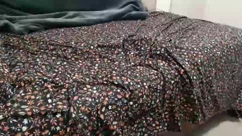 dadbod online show from 12/15/24, 08:04