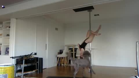 Snapshot of sadgirldies chatting on 02/20/25, 12:52 sadgirldies online show from 02/20/25, 12:52