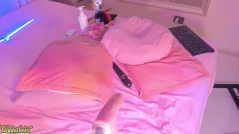 Snapshot of saekohofman chatting on 11/15/25, 06:11 Mara online show from 11/15/25, 06:11