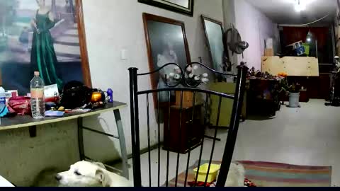 ruby  chocoholic cakeholic coffeeholic cookieholic online show from 11/18/25, 12:16