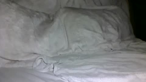 Snapshot of saintd17 chatting on 02/05/25, 01:44 SD17 online show from 02/05/25, 01:44