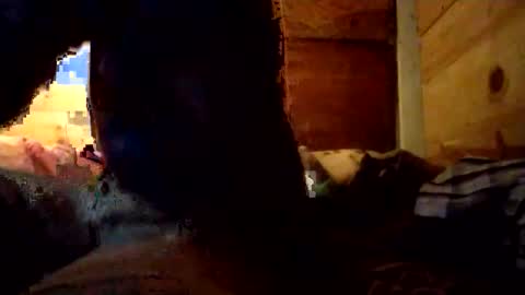 Penoso online show from 12/14/25, 10:09