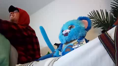 salis1981 online show from 01/22/25, 02:04