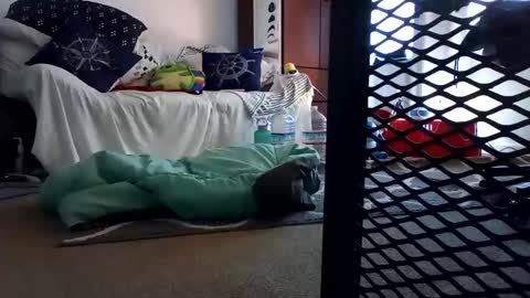 salis1981 online show from 02/07/25, 12:31