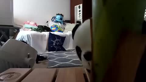 salis1981 online show from 02/08/25, 01:54