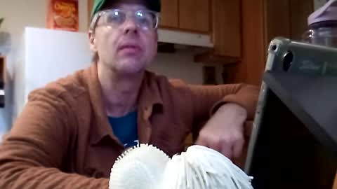 salis1981 online show from 11/21/25, 07:01