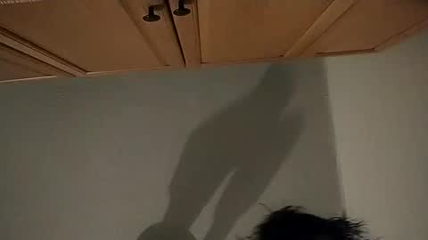 Snapshot of salmonman1305 chatting on 01/02/25, 01:17 salmonman1305 online show from 01/02/25, 01:17