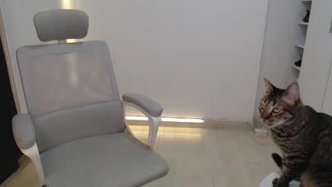Snapshot of salome_010 chatting on 10/19/25, 03:34 Salome online show from 10/19/25, 03:34