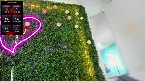 salome online show from 12/12/24, 10:20