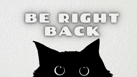 Salome online show from 02/15/26, 03:47