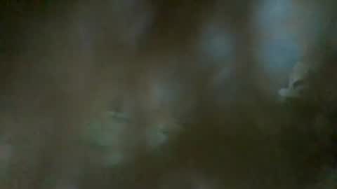 Snapshot of sam223382879 chatting on 01/01/25, 11:40 sam223382879 online show from 01/01/25, 11:40