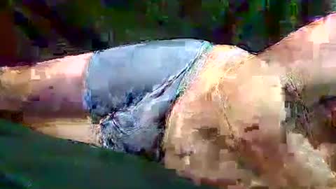 sam5554401727 online show from 11/10/25, 06:40