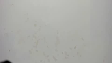 Snapshot of sam_naughty18 chatting on 07/18/26, 02:38 sam_naughty18 online show from 07/18/26, 02:38