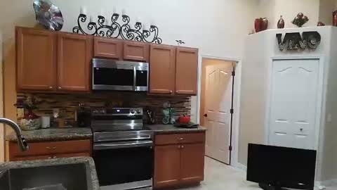 Snapshot of sam_papithebarber chatting on 11/06/25, 04:24 sam_papithebarber online show from 11/06/25, 04:24