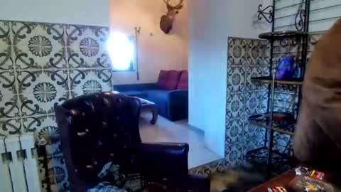 Snapshot of sam_papithebarber chatting on 12/20/25, 08:32 sam_papithebarber online show from 12/20/25, 08:32