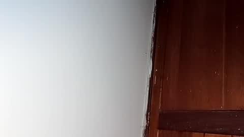 sam online show from 02/28/25, 07:26