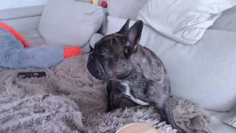 sam_skywalker online show from 07/20/26, 10:39