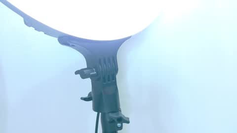   online show from 11/17/25, 12:00