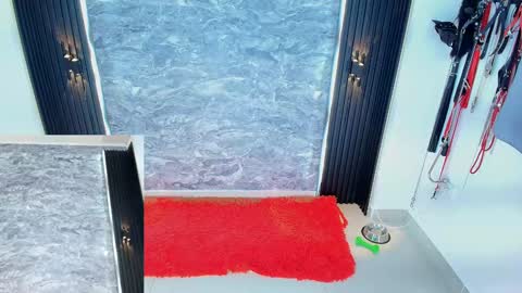 Samantha online show from 01/30/25, 01:42