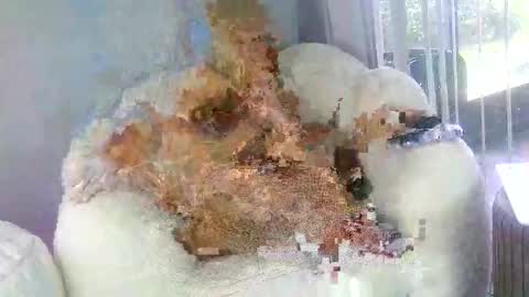 Samatha James online show from 03/31/26, 07:03