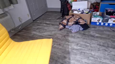 Snapshot of samboiamtho chatting on 01/03/25, 06:11 samboiamtho online show from 01/03/25, 06:11