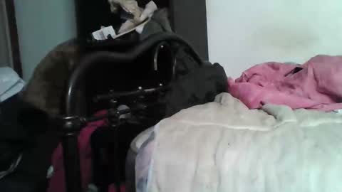 Snapshot of samedisamedi1nouveau chatting on 12/05/25, 05:42 Samedisamedi1nouveau online show from 12/05/25, 05:42