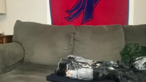 Playful Sammie online show from 06/29/26, 03:13