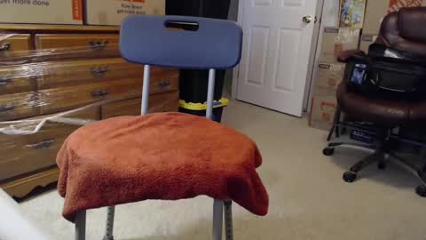 Snapshot of sammyduz2 chatting on 11/03/25, 02:29 Sammy online show from 11/03/25, 02:29