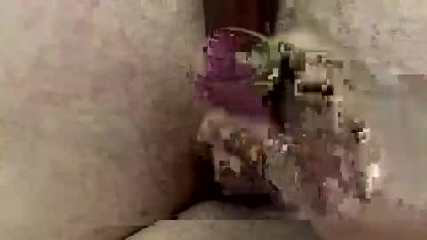 Snapshot of samuelsamuel1234 chatting on 10/05/25, 08:23 samuelsamuel1234 online show from 10/05/25, 08:23