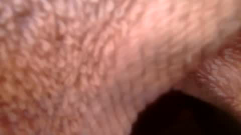 samueltal online show from 02/21/26, 09:21