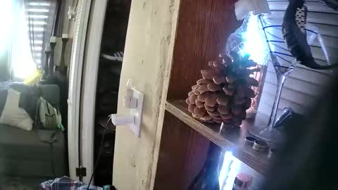 samys1234 online show from 05/10/26, 10:37