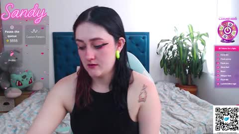 Sandy Prinss online show from 02/01/26, 02:59