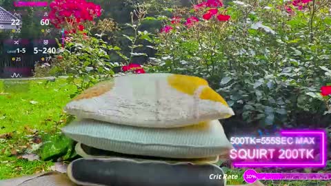 sansa_staark online show from 10/17/25, 07:44