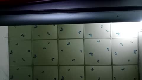 Snapshot of santichai561323 chatting on 02/19/25, 02:01 santichai561323 online show from 02/19/25, 02:01