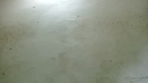 Snapshot of santichai561323 chatting on 02/24/25, 02:51 santichai561323 online show from 02/24/25, 02:51