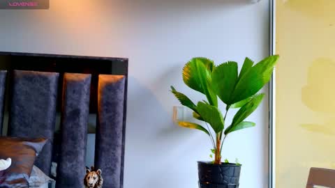 Santiago Seans online show from 02/12/26, 01:28