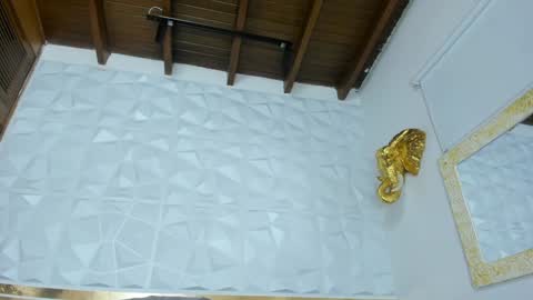 Snapshot of sara_collinnss chatting on 01/28/25, 03:25 Sara Collins online show from 01/28/25, 03:25