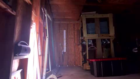 Snapshot of saracan7 chatting on 03/08/26, 11:14 Sarrah Sweet online show from 03/08/26, 11:14