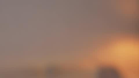       online show from 03/25/26, 10:38