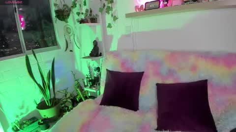 Sarah NEW ACCOUNT online show from 02/03/26, 11:21