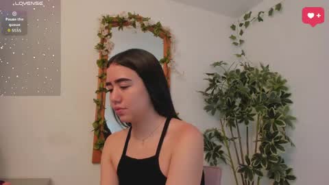      online show from 05/28/26, 12:41